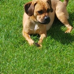 Meet your Posher, Kim